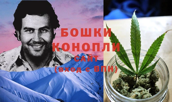 амф Арсеньев