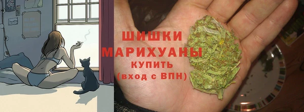 амф Арсеньев