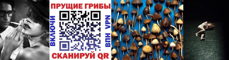 Купить закладки  Курильск  Псилоцибиновые грибы прущие грибы 